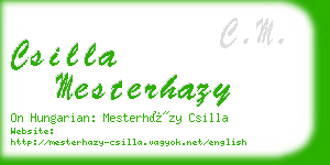 csilla mesterhazy business card